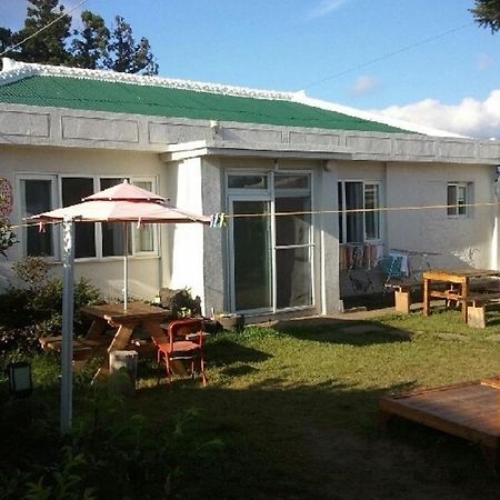 Sheelddi Pension Seogwipo Exteriör bild