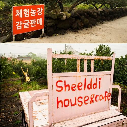 Sheelddi Pension Seogwipo Exteriör bild